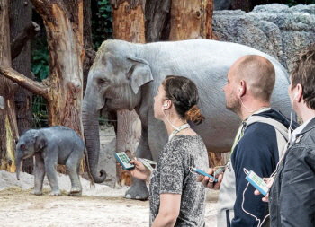 GROUPY-CITY-2---350-X